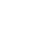 finebi icon