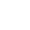 finebi icon