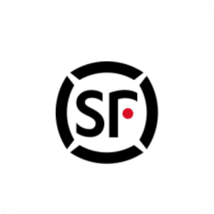 FanRuan partner