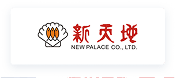 fanruan partner