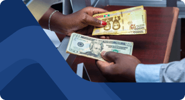 fanruan financial solution